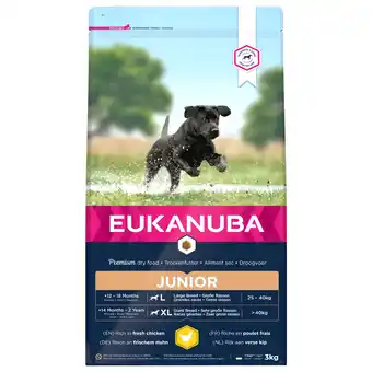 Pets Place Eukanuba Developing Junior Large Breed Kip - Hondenvoer aanbieding