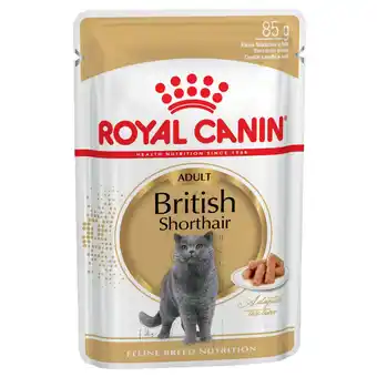 Zooplus Royal Canin British Shorthair Adult - Kattenvoer Bestel ook natvoer: 12 x 85 g Royal Canin Breed British Shorthair aanbieding