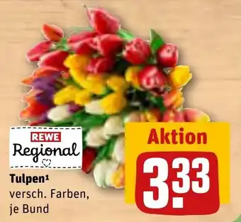 Rewe DE Tulpen je Bund aanbieding