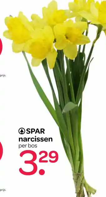 Spar SPAR narcissen aanbieding