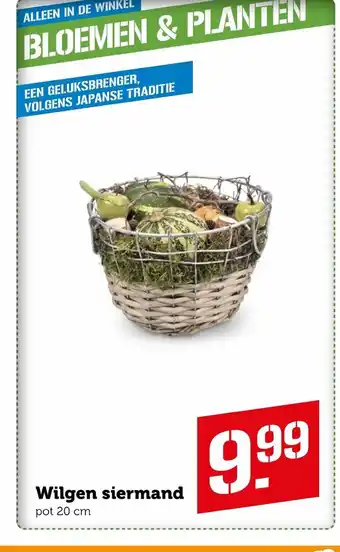 CoopCompact Wilgen Siermand pot 20 cm aanbieding