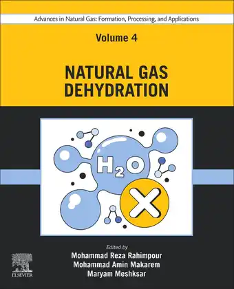 Bol.com Advances in Natural Gas: Formation, Processing, and Applications. Volume 4: Natural Gas Dehydration aanbieding