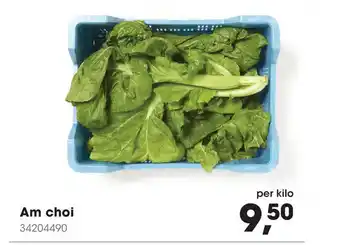 HANOS Am choi 34204490 aanbieding