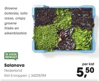 HANOS Salanova 34235784 aanbieding