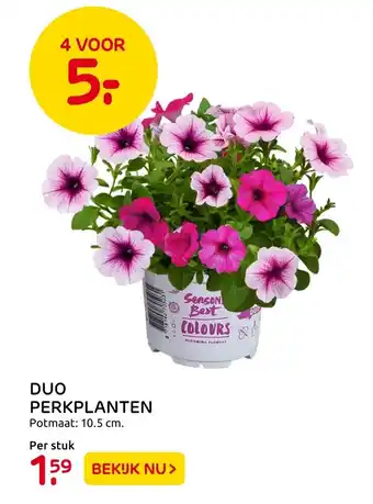 Praxis Duo perkplanten aanbieding