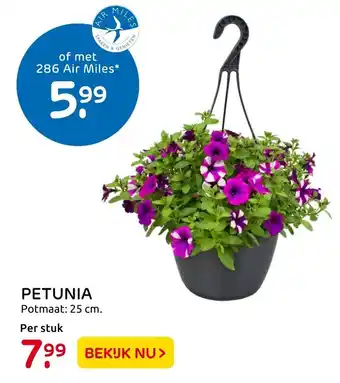 Praxis Petunia aanbieding