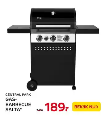 Praxis Central Park Gasbarbecue Salta* aanbieding