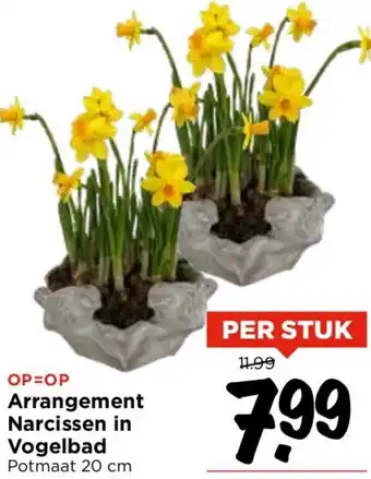 Vomar Voordeelmarkt Arrangement Narcissen in Vogelbad Potmaat 20 cm aanbieding