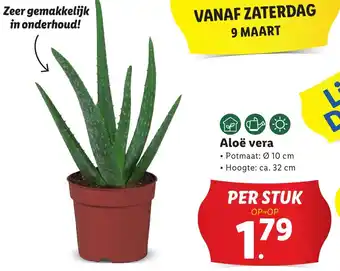 Lidl Aloë vera aanbieding