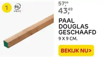 Praxis PAAL DOUGLAS GESCHAAFD 9X9 CM. aanbieding