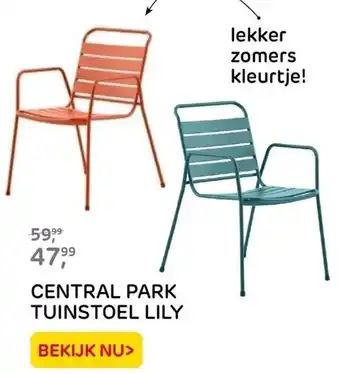 Praxis CENTRAL PARK TUINSTOEL LILY aanbieding