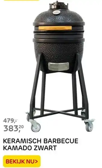 Praxis KERAMISCH BARBECUE KAMADO ZWART aanbieding