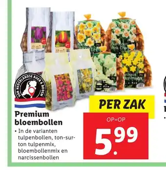 Lidl Premium Bloembollen per zak aanbieding