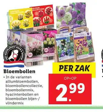 Lidl Bloembollen per zak aanbieding