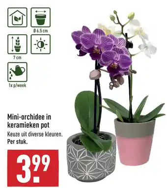 ALDI Mini-orchidee in keramieken pot aanbieding