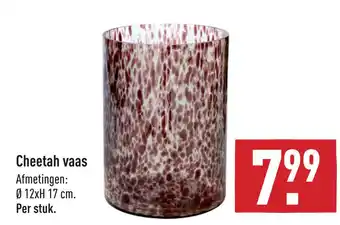 ALDI Cheetah vaas aanbieding