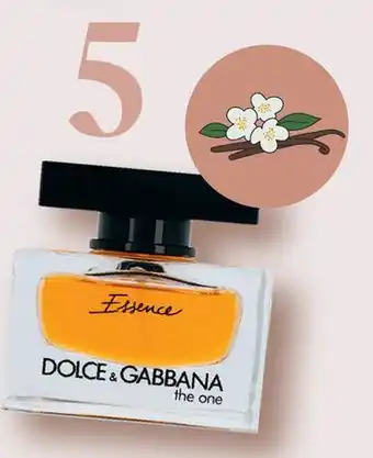 Etos Dolce & Gabbana The One Essence eau de parfum 40 ml aanbieding