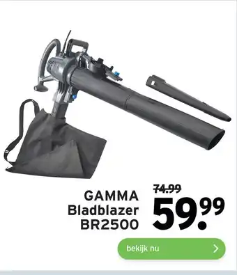 GAMMA GAMMA Bladblazer BR2500 aanbieding