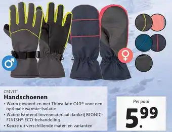 Lidl Handschoenen aanbieding