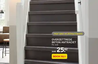 Praxis OVERZETTREDE BETON ANTRACIET aanbieding