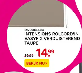 Praxis Intensions Rolgordijn Easyfix Verduisterend Taupe aanbieding