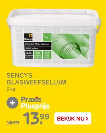 Praxis Sencys Glasweefsellijm aanbieding