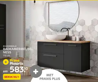 Praxis Badkamermeubel Ness aanbieding