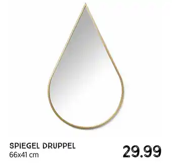 Xenos Spiegel druppel aanbieding