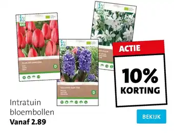 Intratuin Bloembollen aanbieding