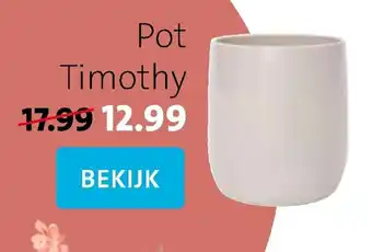 Intratuin Pot Timothy aanbieding