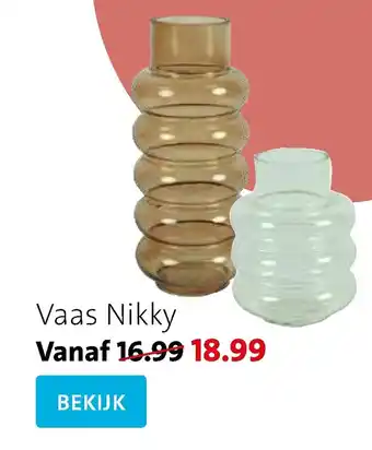 Intratuin Vaas Nikky aanbieding