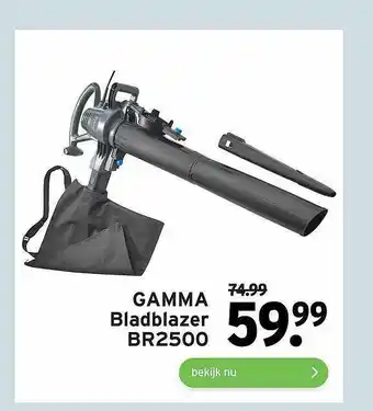 GAMMA Bladblazer BR2500 aanbieding