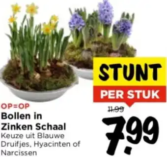 Vomar Voordeelmarkt Bollen in Zinken Schaal aanbieding