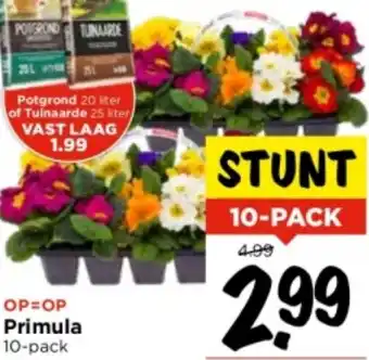 Vomar Voordeelmarkt Primula 10-pack aanbieding