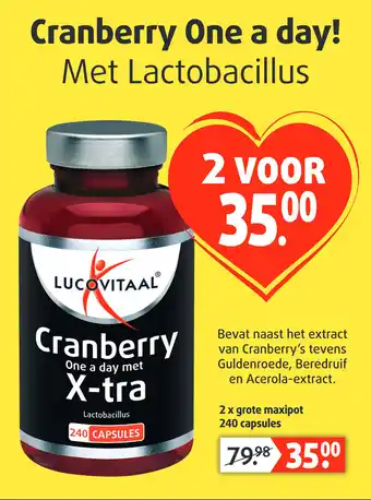 Lucovitaal Cranberry X-tra aanbieding