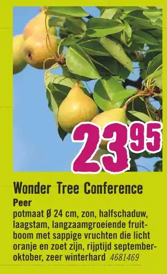 Hornbach Wonder tree conference aanbieding