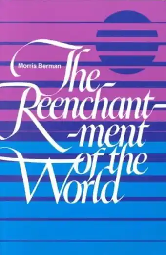 Bol.com The Reenchantment of the World aanbieding