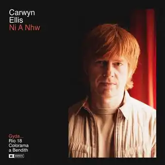 Bol.com Carwyn Ellis - Ni A Nhw (LP) aanbieding