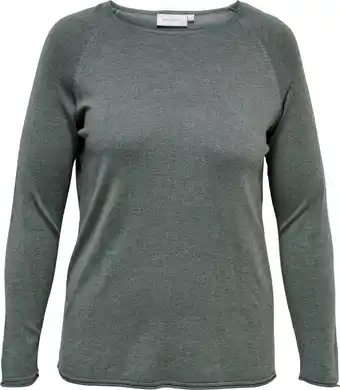 Bol.com ONLY CARMAKOMA CARLADY L/S PULLOVER NCA KNT Dames Trui - Maat M-46/48 aanbieding