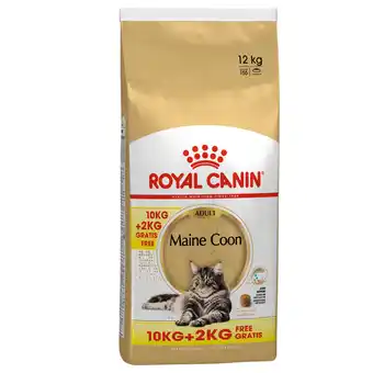 Zooplus 10 + 2 kg gratis! 12 kg Royal Canin Droogvoer Katten - Maine Coon Adult aanbieding