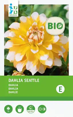 Intratuin Intratuin biologische Dahlia knol (Dahlia 'Seattle') aanbieding
