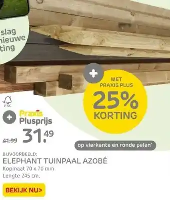 Praxis ELEPHANT TUINPAAL AZOBÉ Kopmaat 70 x 70 mm. Lengte 245 cm. aanbieding