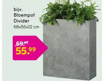 Leen Bakker Bloempot Divider 68x56x22 cm aanbieding