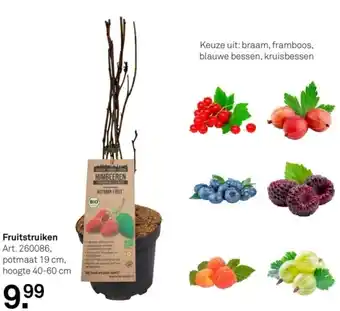 Karwei Fruitstruiken aanbieding