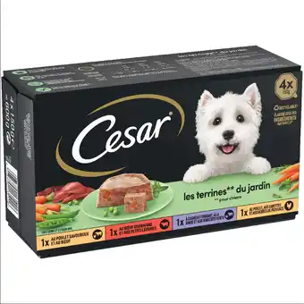 Zooplus 15% Korting! Cesar Tray hondenvoer - Gemengd pakket (4x150g) aanbieding