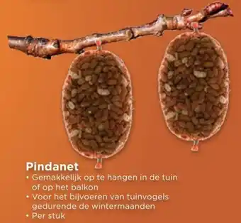 Vomar Voordeelmarkt Pindanet aanbieding