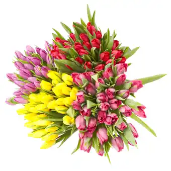 Dekamarkt Tulpen warme mix aanbieding