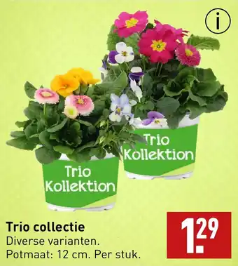 ALDI Trio collectie  12cm aanbieding