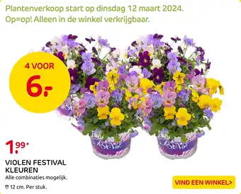 Praxis Violen festival kleuren aanbieding