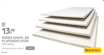 Praxis Agnes wand en plafondplaten 120 x 60 cm aanbieding